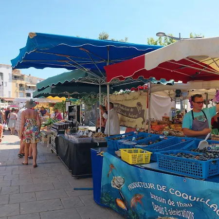 Les Terrasses De La Plage-5 By Interhome *